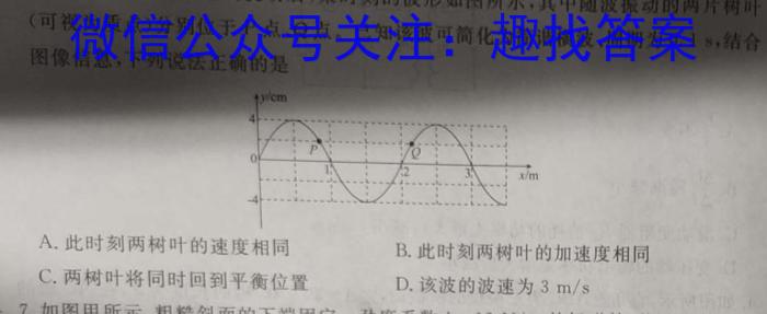 2023-2024辽宁省高二试卷12月联考(24-LN05B)物理试卷答案