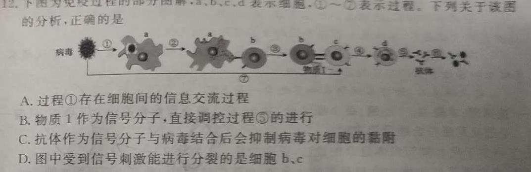 天一大联考 湖南省2024届高三11月联考生物学试题答案