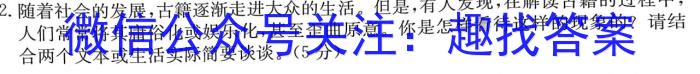 安徽省安庆市潜山市2023-2024学年度九年级第二次调研/语文