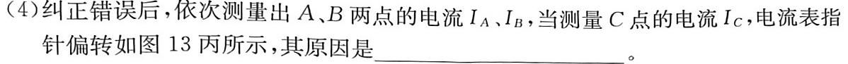 安徽省2024届淮北市淮北二中九年级第四次联考物理试题.
