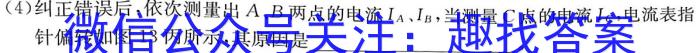 安徽省2023-2024学年九年级（上）全程达标卷·单元达标卷（四）q物理