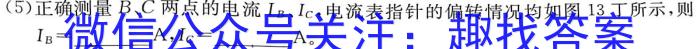 新高中创新联盟TOP二十名校高一年级12月调研考试物理试题答案