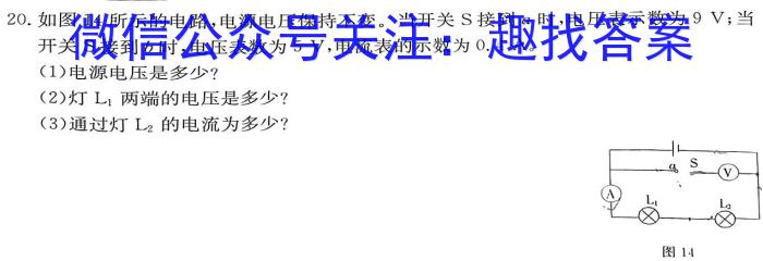 安徽省十联考·安合肥一中2024届高三第二次教学质量检测卷f物理