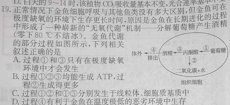 ［开封一模］河南省开封市2024届高三年级第一次模拟考试生物学试题答案