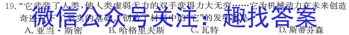 江西省瑞昌市2023-2024学年度上学期九年级期中考试试卷历史