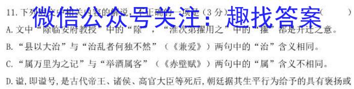 河北省2023~2024学年高三(上)期中考试(24-165C)语文