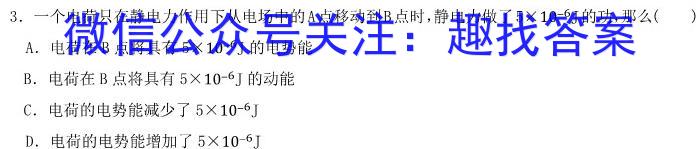 稳派大联考2023-2024学年高二年级上学期12月联考物理试卷答案