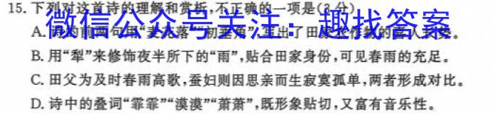 陕西省2024届高三12月联考（12.5）/语文