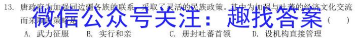 安徽省2023-2024学年度九年级上学期阶段性练习（三）历史试卷