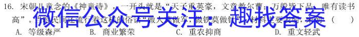 九师联盟 2024届高三12月质量检测S历史试卷