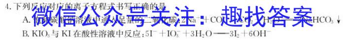 九师联盟 2024届高三12月质量检测S生物学试题答案