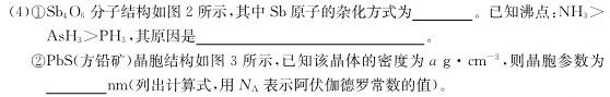 快乐考生 2024届双考信息卷第一辑 新高三摸底质检卷(四)生物学试题答案