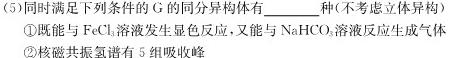 河北省石家庄市赵县2023-2024学年度第一学期期中学业质量检测七年级生物