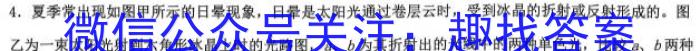 福建省2024届高三11月质量检测(FJ)z物理