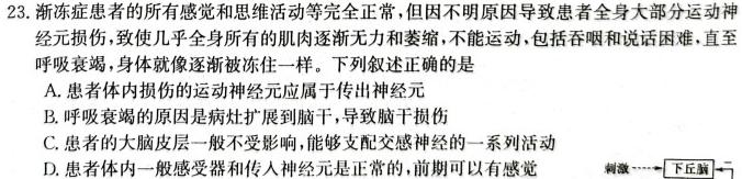 安徽省2023年九年级万友名校大联考教学评价三生物学试题答案