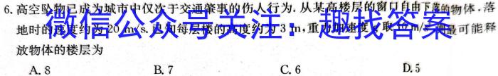 甘肃省2023-2024学年度第一学期阶段性学习效果评估（高三）物理试卷答案