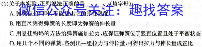 安徽省合肥市2024届九年级第二次质量调研检测物理试卷答案