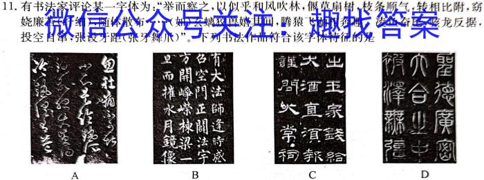 名校联考·贵州省2023-2024学年度秋季学期八年级（半期）质量监测历史
