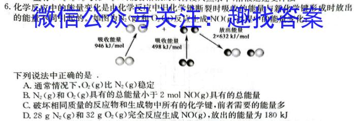 q山东省潍坊市2023-2024学年高二上学期期中质量监测化学