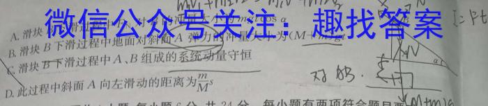 2024届内蒙古高三试卷11月联考(24-155C)物理试题答案