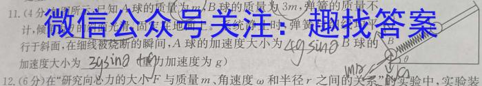 安徽省安庆市潜山市2023-2024学年第一学期九年级第二次质量检l物理