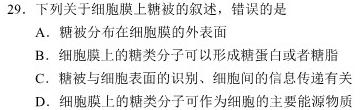 河南省2023-2024学年新乡市高三第一次模拟考试生物