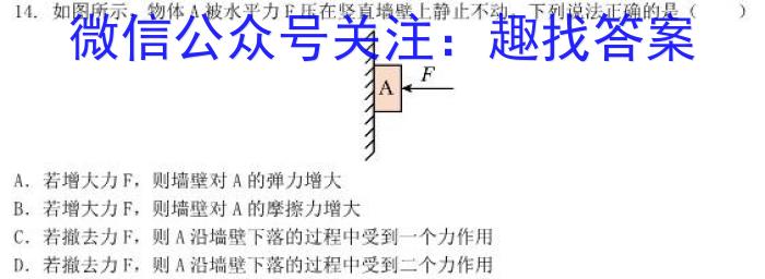 2024年全国高考仿真模拟卷(一)z物理