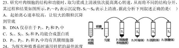 2023-2024衡水金卷先享题高三一轮复习摸底测试卷·摸底卷(贵州专版)3生物学试题答案