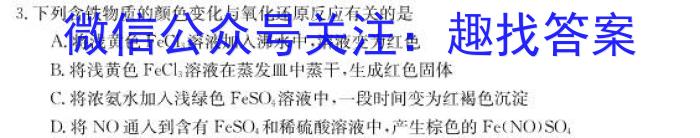 q安徽省六安皋城中学2024届初三阶段性目标检测（四）化学