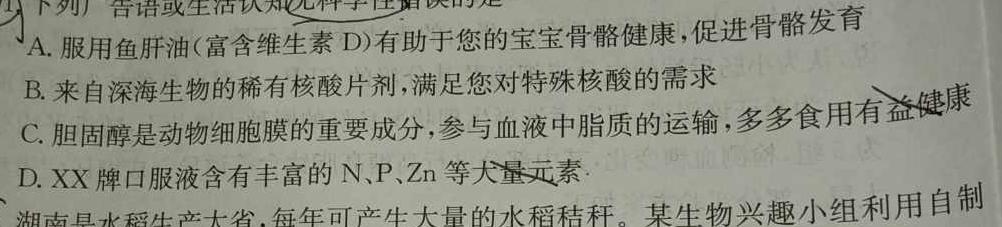 ［山东大联考］山东省2024届高三年级上学期12月联考生物