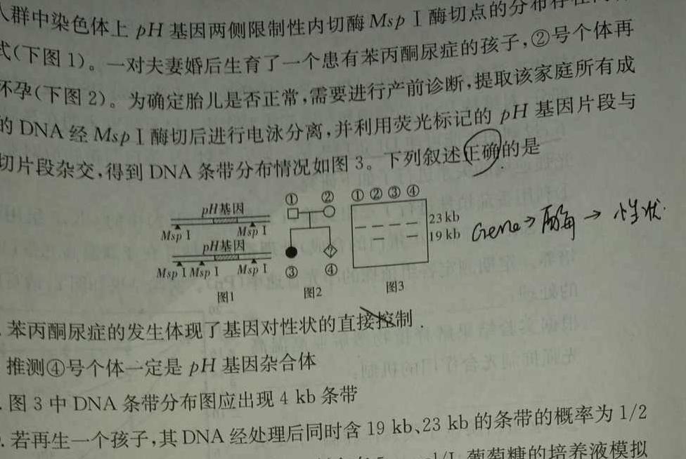 衡水金卷先享题分科综合卷2024新教材生物学试题答案