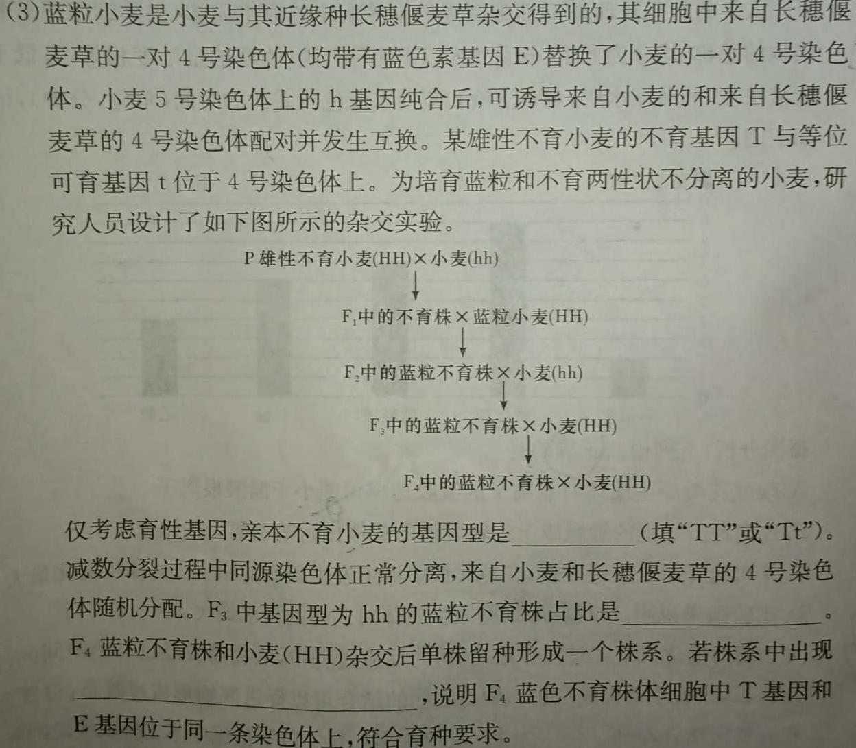 云南民族大学附属高级中学2024届高三联考卷(三)3(243147D)生物学试题答案