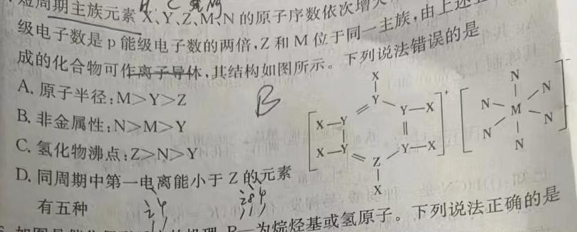【热荐】九师联盟2024届高三11月质量检测（新教材-L）化学