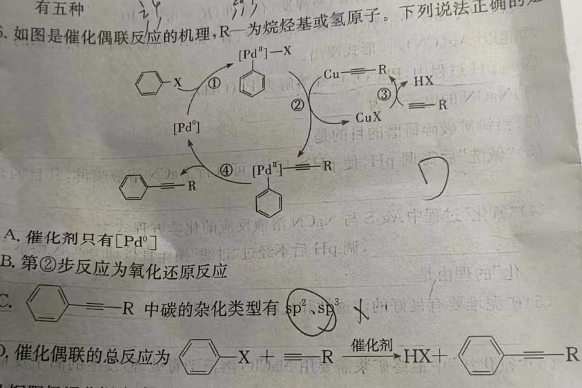 【热荐】河南省新乡市2023-2024学年八年级第一学期学习评价（2）化学