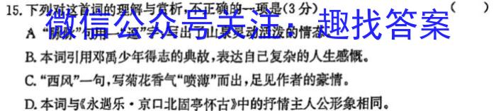 "2024年全国普通高等学校招生统一考试·A区专用 JY高三模拟卷(一)语文