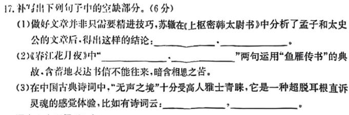 云南师大附中(云南卷)2024届高考适应性月考卷(黑白黑白白黑白黑)语文