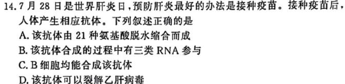 陕西省2023-2024学年度第一学期八年级阶段检测（二）生物学试题答案