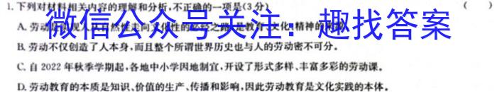 江西省2023年南昌县九年级第一次评估检测(24-10-CZ45c)/语文