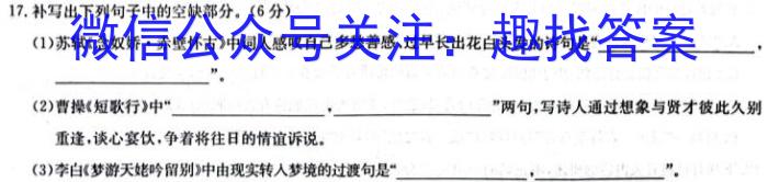 河北省2024届九年级阶段评估(二) 2L R/语文