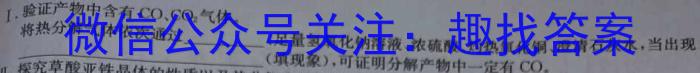 q河南省2024届九年级第一学期学习评价（3）化学