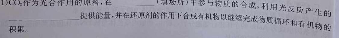 河北省2023-2024学年六校联盟高一年级期中联考（241258D）生物学试题答案