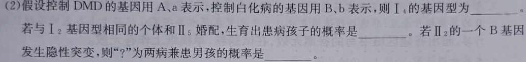 高考快递 2024年普通高等学校招生全国统一考试信息卷(二)2新高考版生物学试题答案