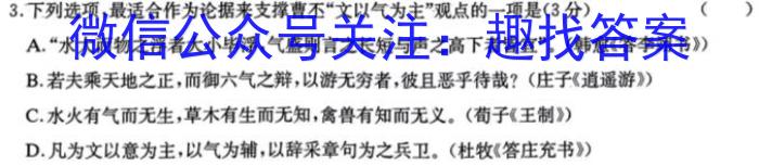 2024年全国高考仿真模拟卷(一)/语文