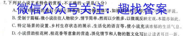 安徽省合肥市2024届九年级第一学期11月份阶段练习（11月）/语文