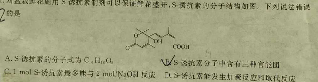 1陕西省2023-2024学年度九年级第一学期第二次阶段性作业（Y）化学试卷答案