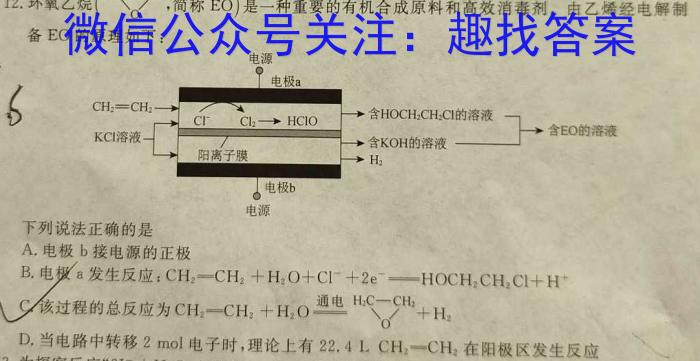 q河北省2023-2024学年度第一学期八年级期中质量监测化学