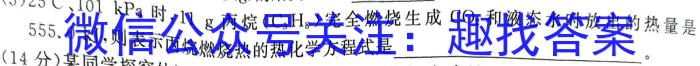 q安徽省2023-2024学年度九年级上学期第三次月考（12.12）化学