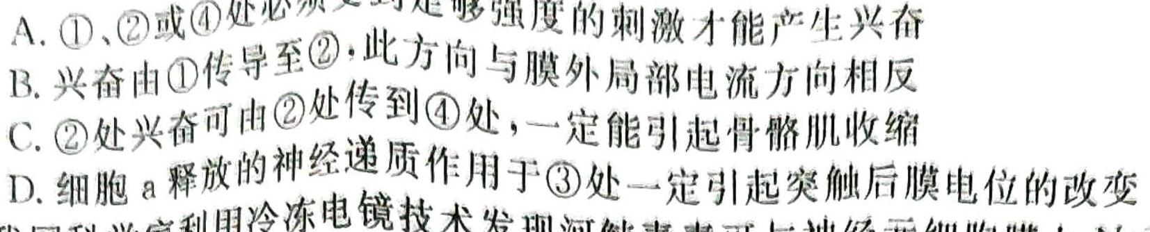 2023-2024学年度上学期高三年级第二次综合素养评价(HZ)生物学试题答案