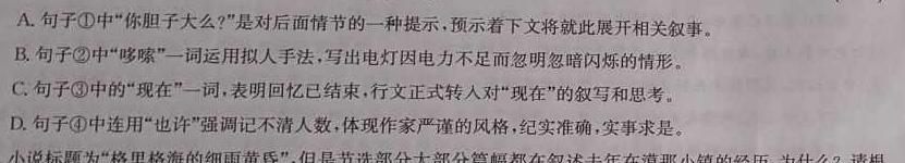 2023年江西省年南昌市南昌县九年级第二次评估检测语文试卷 答案