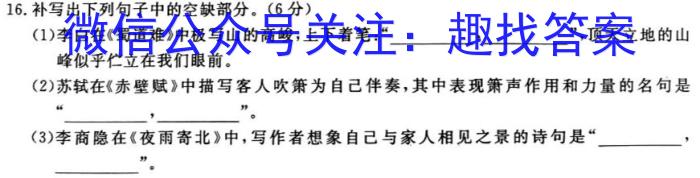 陕西省2024届九年级上学期11月期中联考/语文